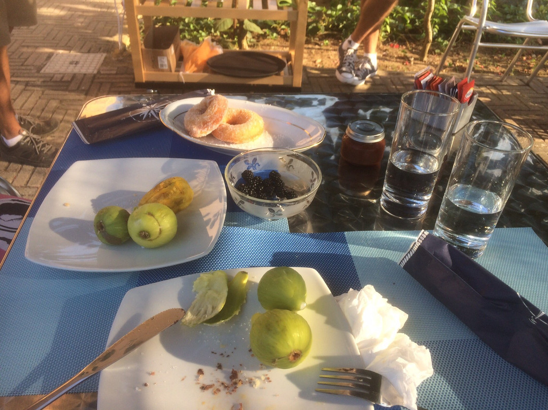 B&B Verdemare Camerota主图