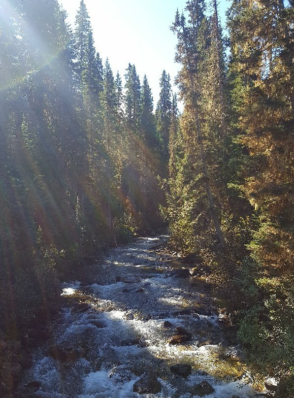 Gold Rush Trail-Barkerville必去景点