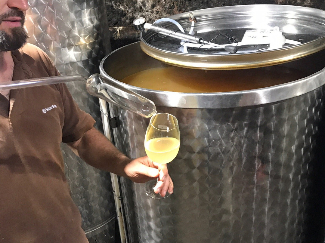 Nadas Winery - Nádas Borműhely- Etyek-艾杰克必去景点