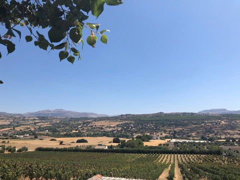 Humble Earth Tours-隆达必去景点