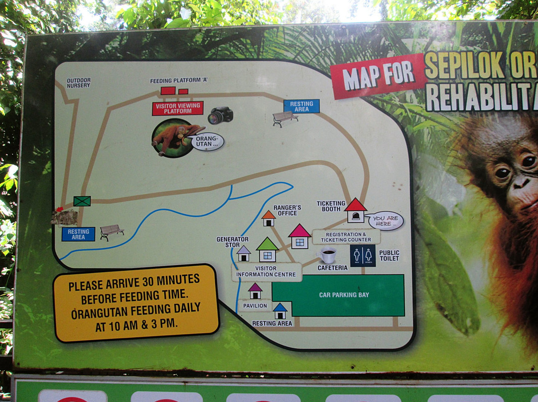 Sepilok Orangutan Rehabilitation Centre景点图片