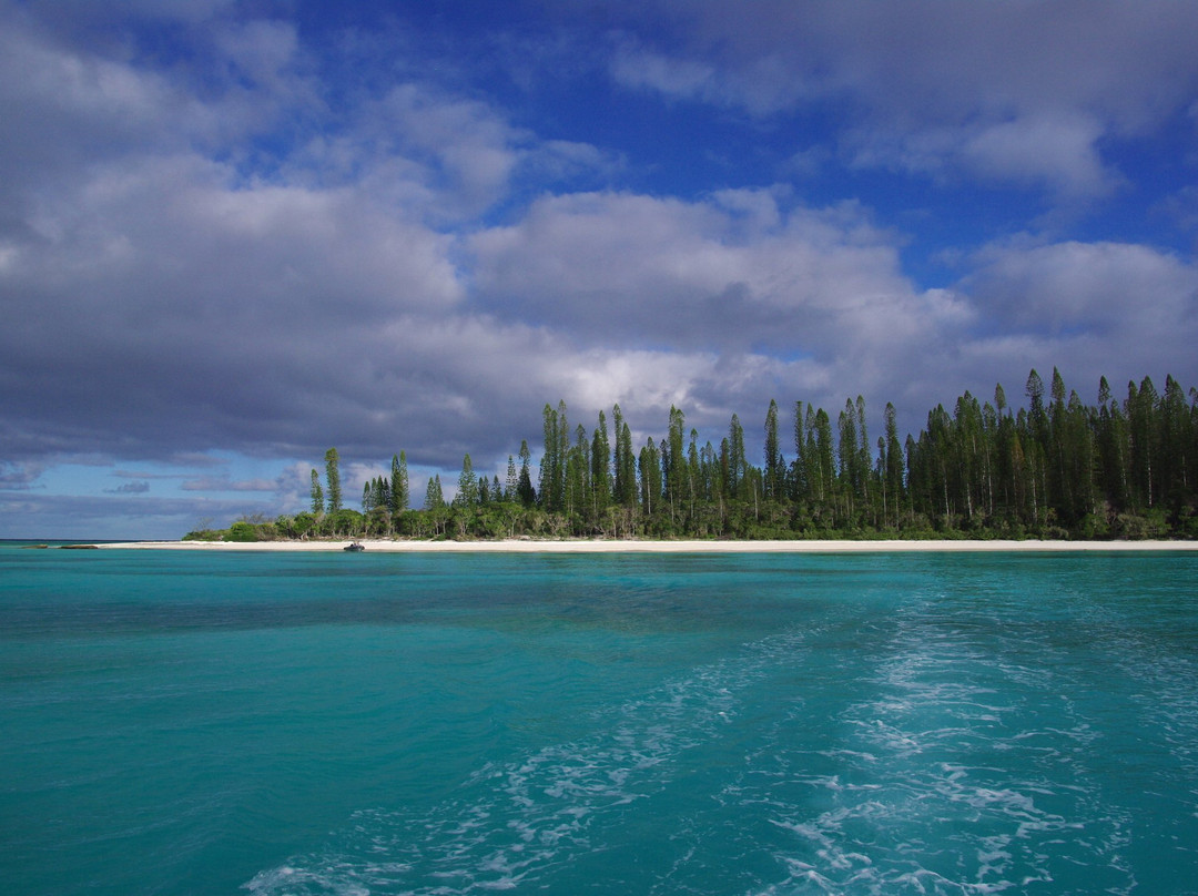Brush Island-Ile Des Pins必去景点
