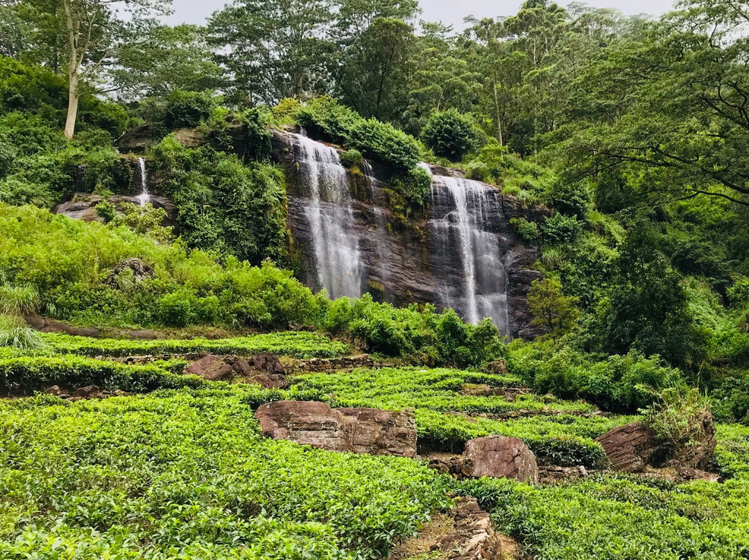 Jodu Ella Waterfall景点图片