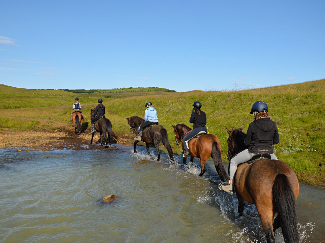 Hestheimar Riding Tours-海拉必去景点