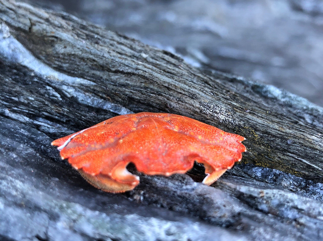 Inn At Diamond Cove主图