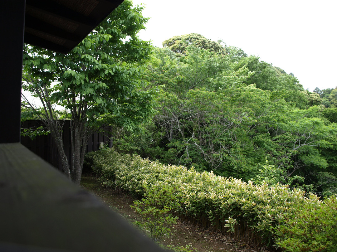 Koshouan Kanoka主图