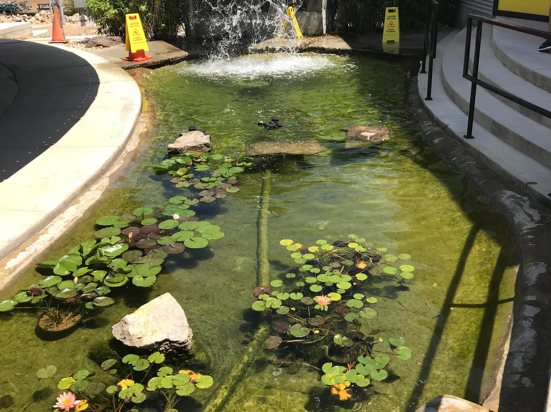 Silo Gallery & Glass Studios-圣马科斯必去景点