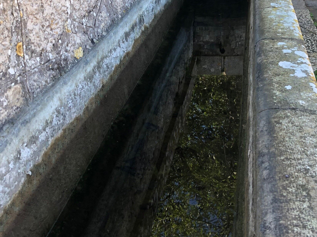 Fontana Cartipoli