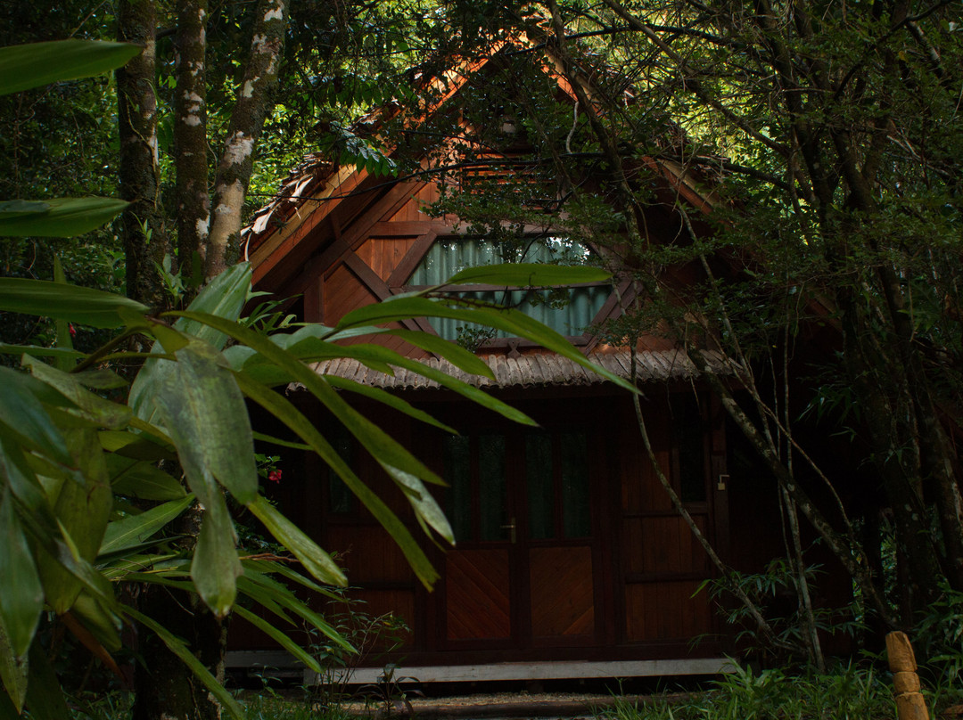 Les Acacias Bungalows Manambato主图