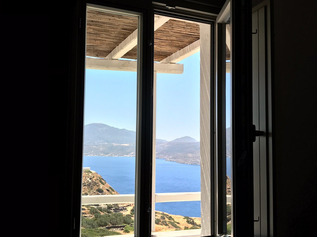 Halara Studios主图