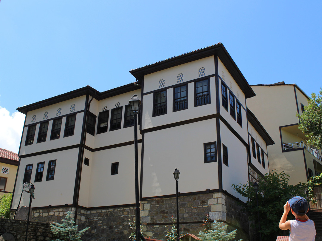 Ünye Belediyesi Yaşayan Kültürel Miras Müzesi景点图片