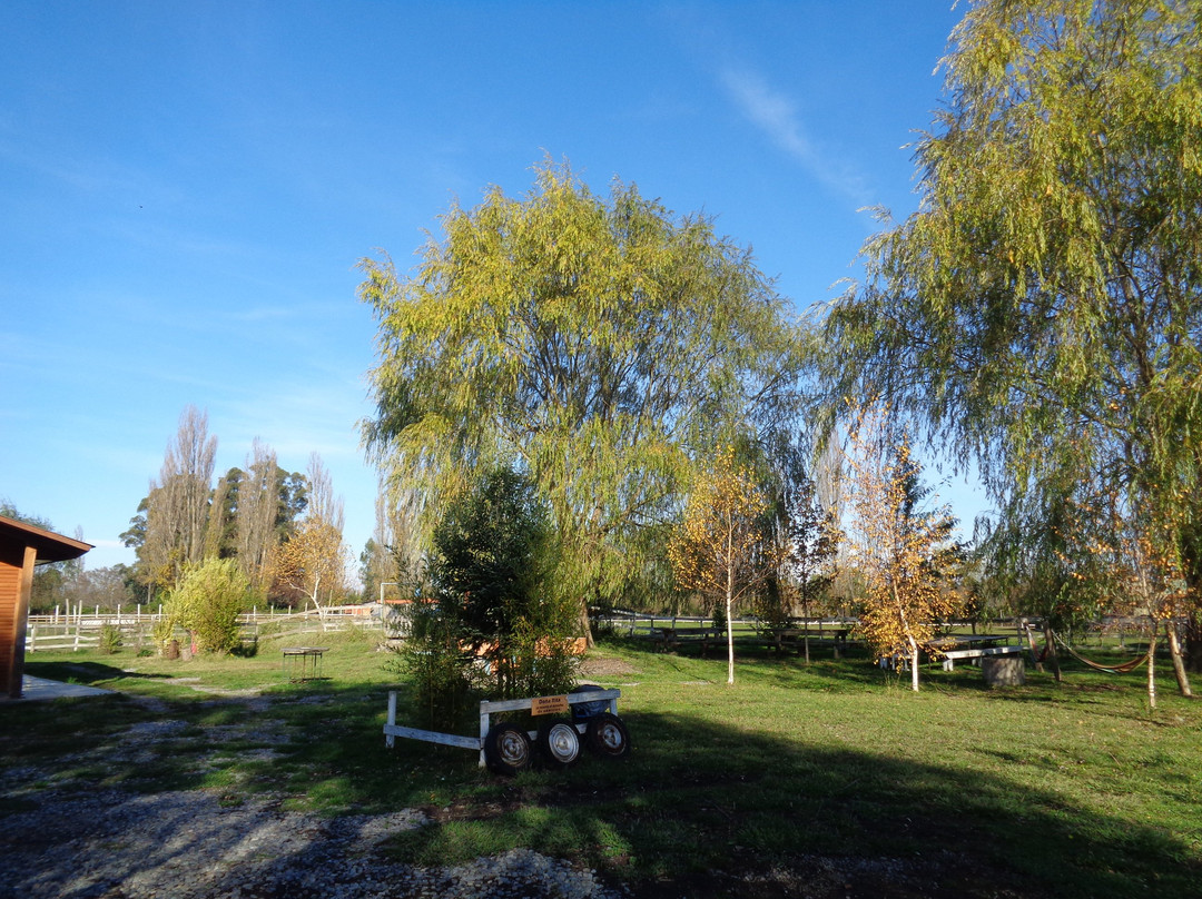 Granja Museo Dona Rita-奇廉必去景点