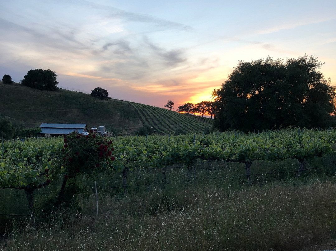 Bent Creek Winery-利佛摩必去景点