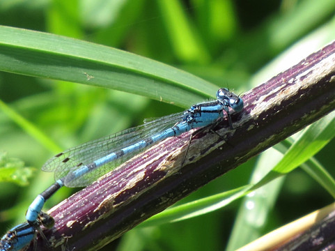 Deeping Lakes-Deeping St James必去景点