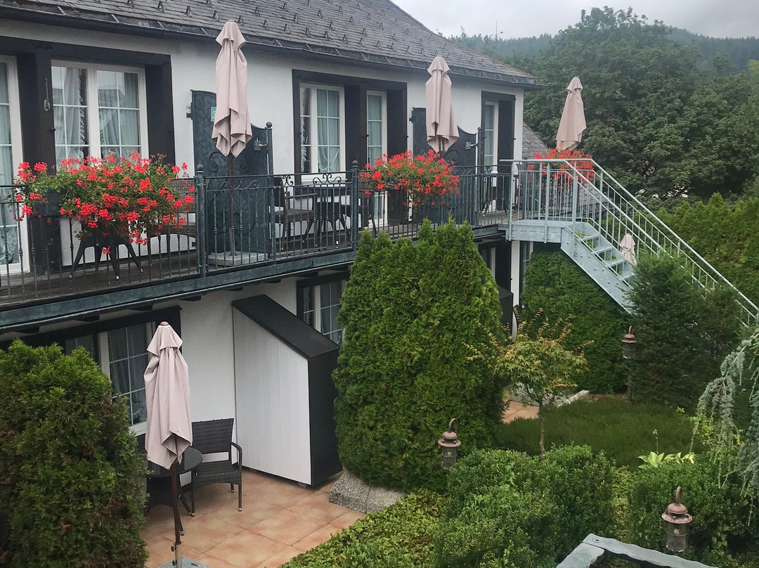 Adler Häusern Gourmet & Spa主图