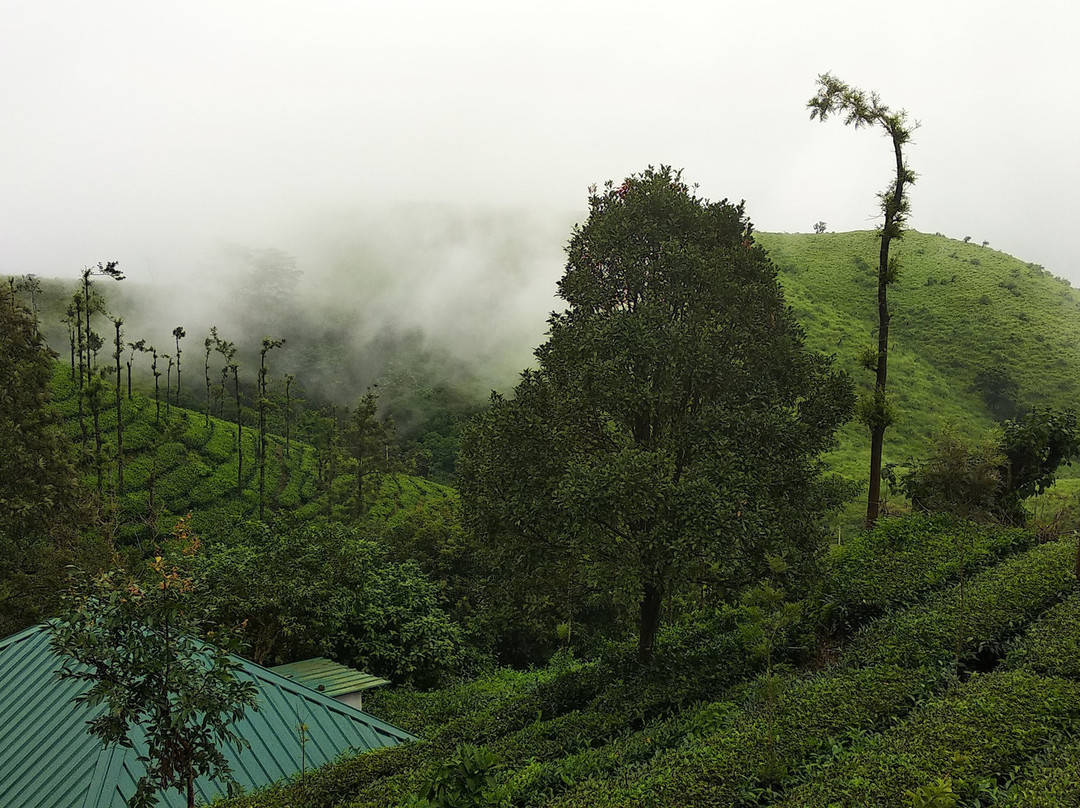 Winter Vale Green Stay主图