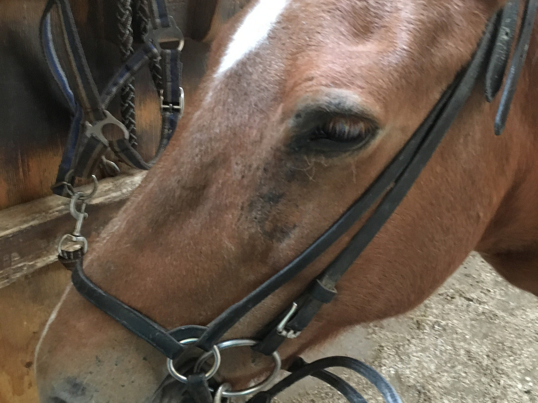 Kainuun Vaellustalli-Sotkamo必去景点