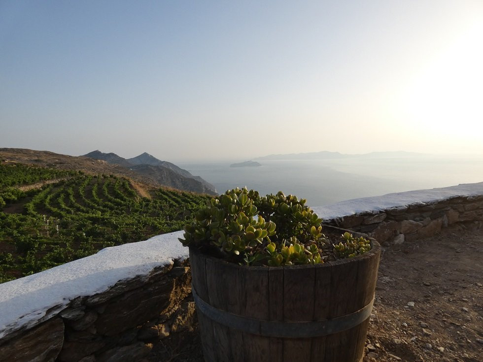 Manalis Winery景点图片