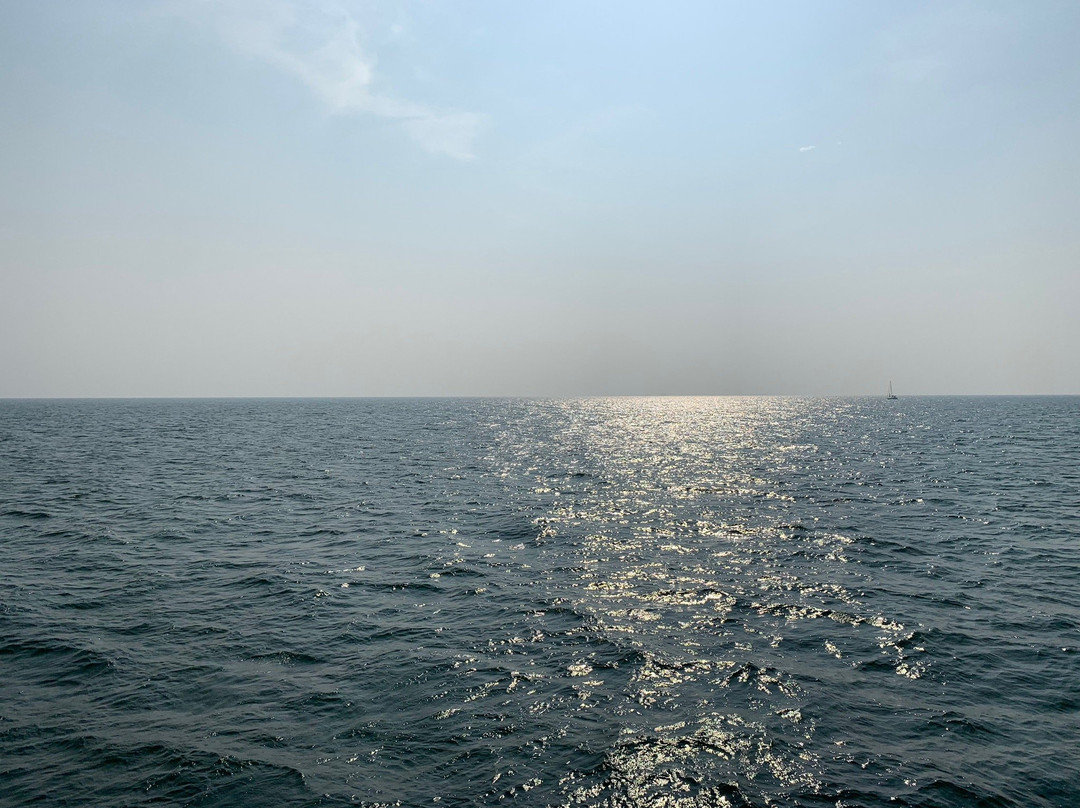 Platinum Charters-波德申必去景点