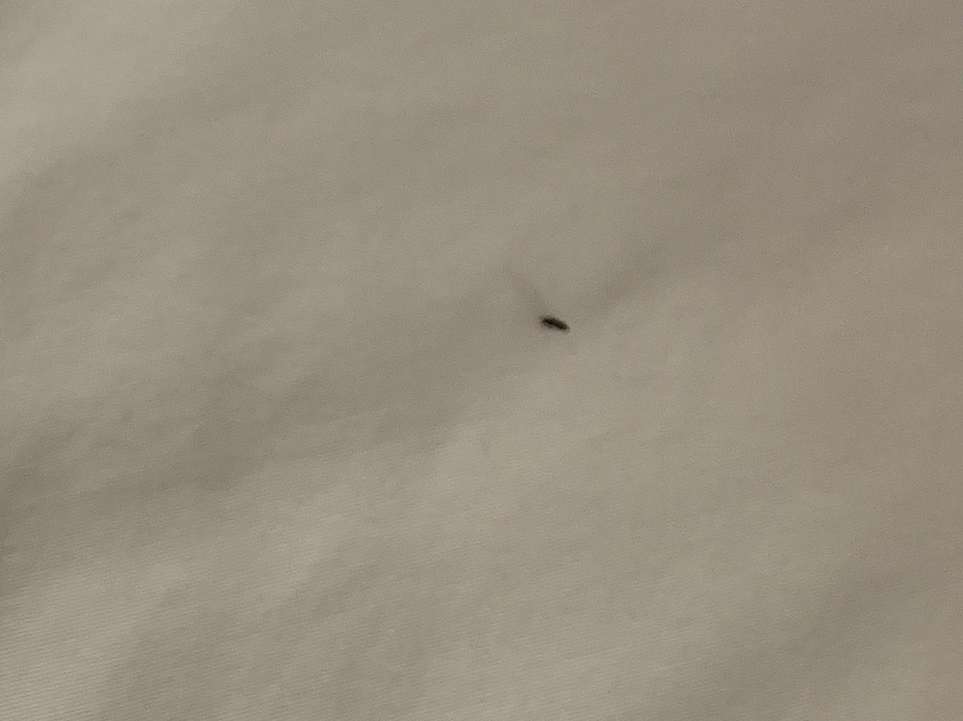 拉斐特凯富套房酒店主图