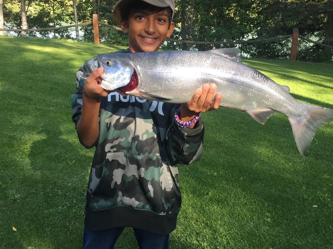 Alaska Fishing Lodge and Soldotna B&B Charters主图