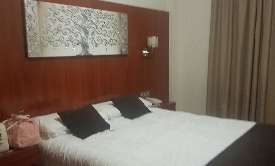 Hotel Familia Conde主图