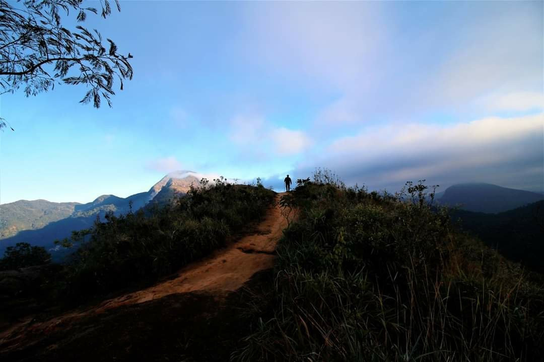 Pedra da Tartaruga-特雷索波利斯必去景点