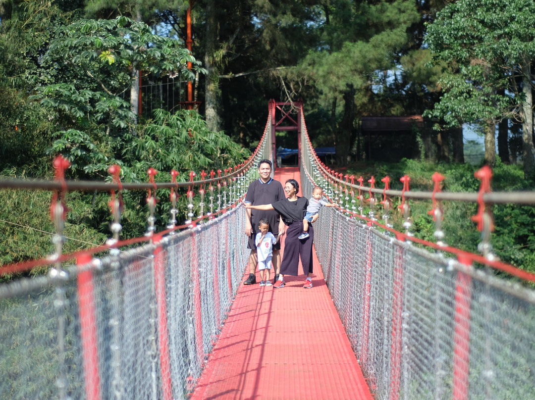 Lido Adventure Park-茂物必去景点