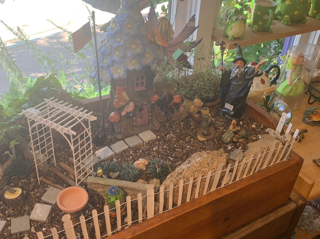 Merkaba Tea-Idyllwild必去景点