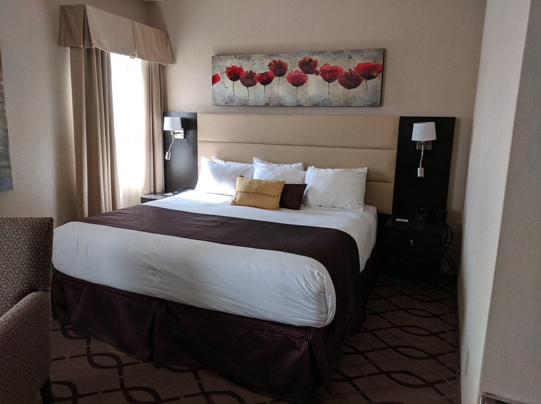 Ramada by Wyndham St. John's主图