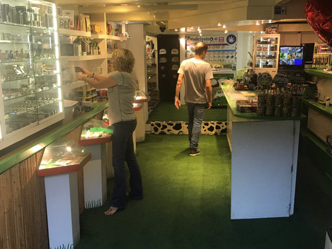 The Magic Mushroom Gallery-阿姆斯特丹必去景点