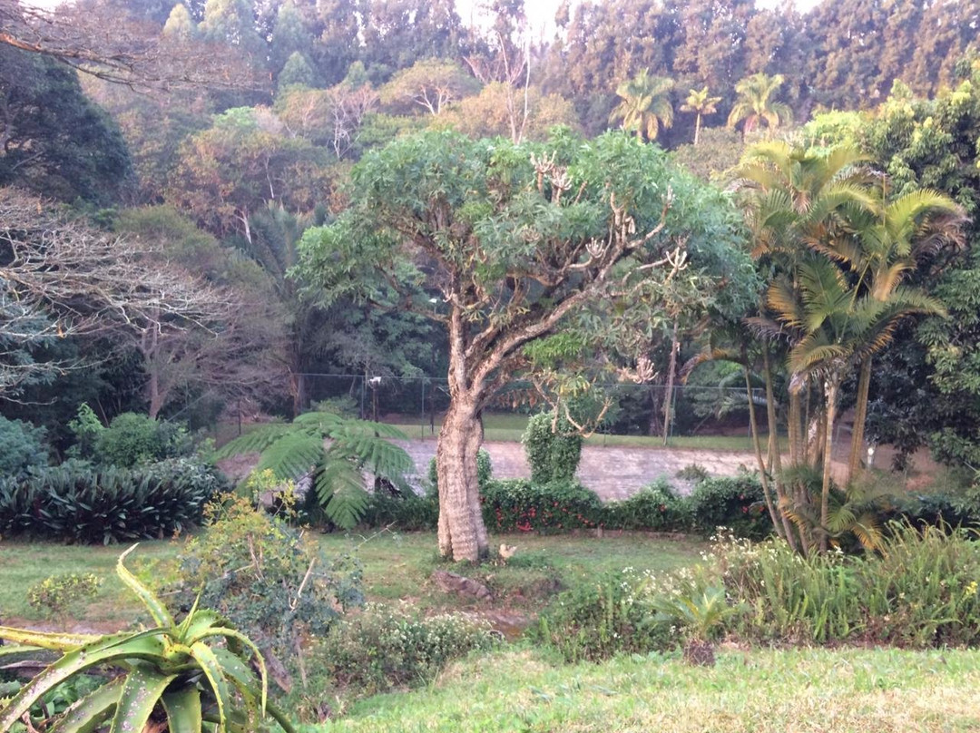 Grassroots Bed And Breakfast主图