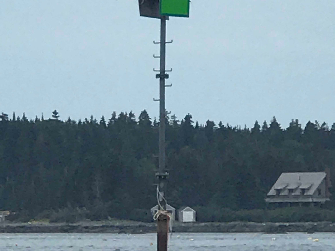 Sea Venture Boat Tours-巴港必去景点