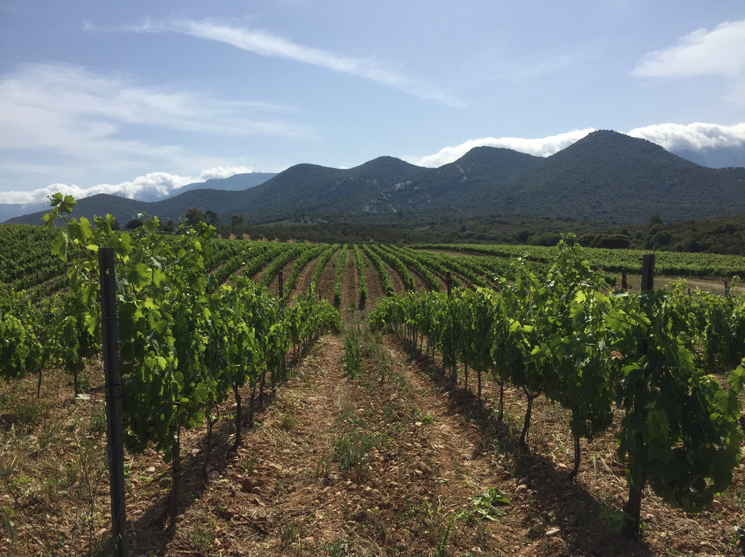 Domaine Orenga de Gaffory-Patrimonio必去景点