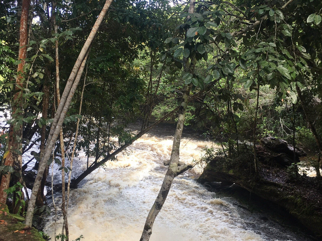 Cachoeira das Araras景点图片