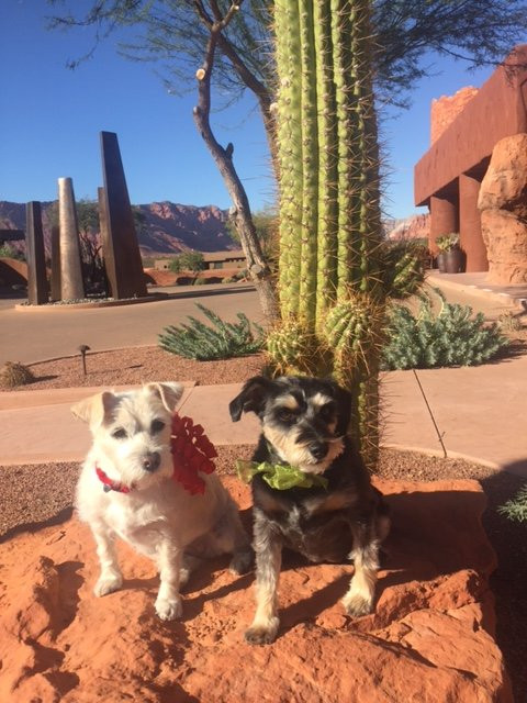 Entrada at Snow Canyon Golf Course景点图片