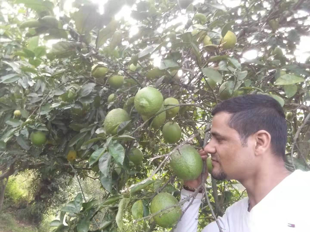 Hotel Ranjeet Palace主图