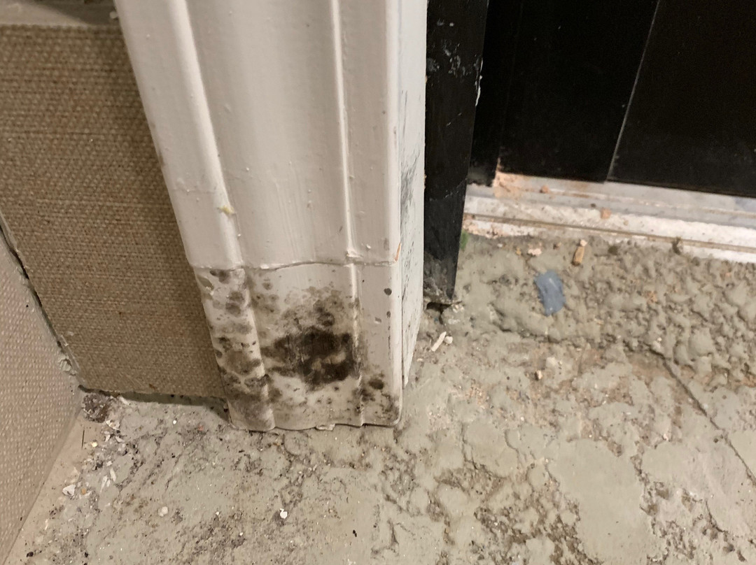 谢尔曼希尔顿恒庭酒店主图