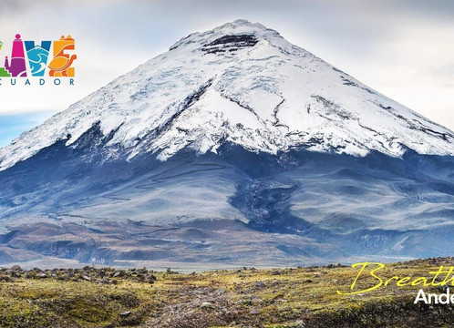 Live Ecuador Tours-基多必去景点