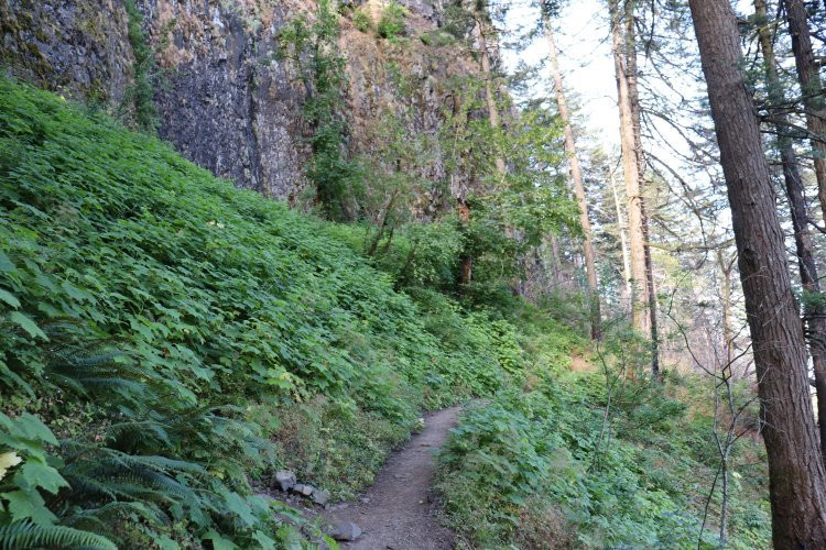 Ponytail Falls-Cascade Locks必去景点