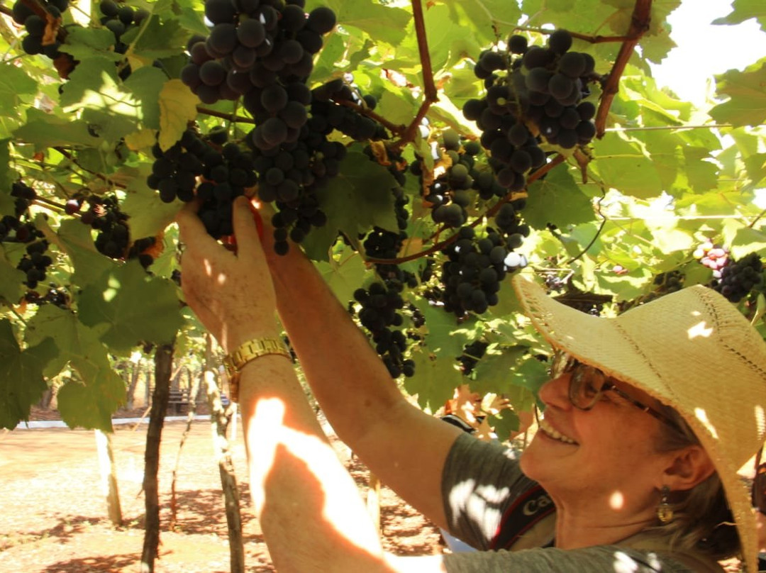 Vinicola Goias-Itaberai必去景点