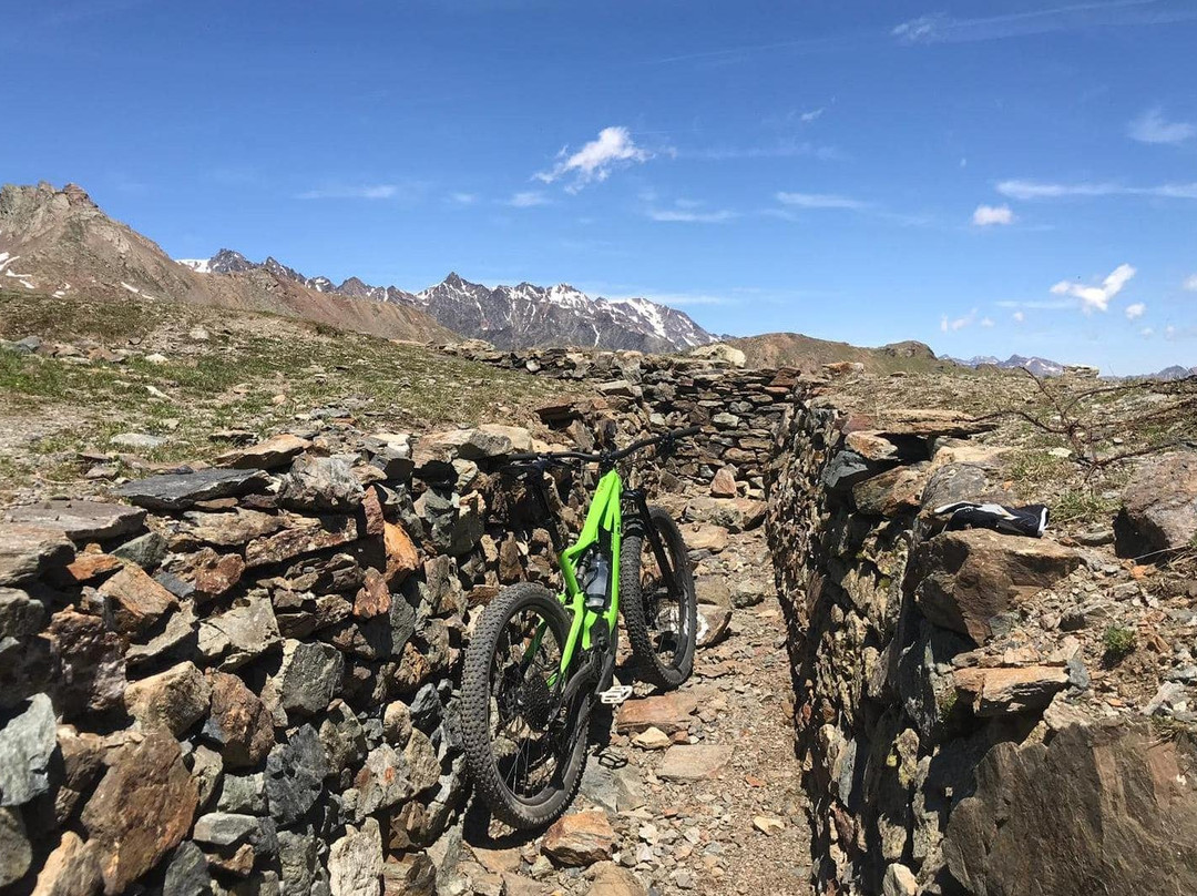 Andreis Specialized store & more-Male必去景点