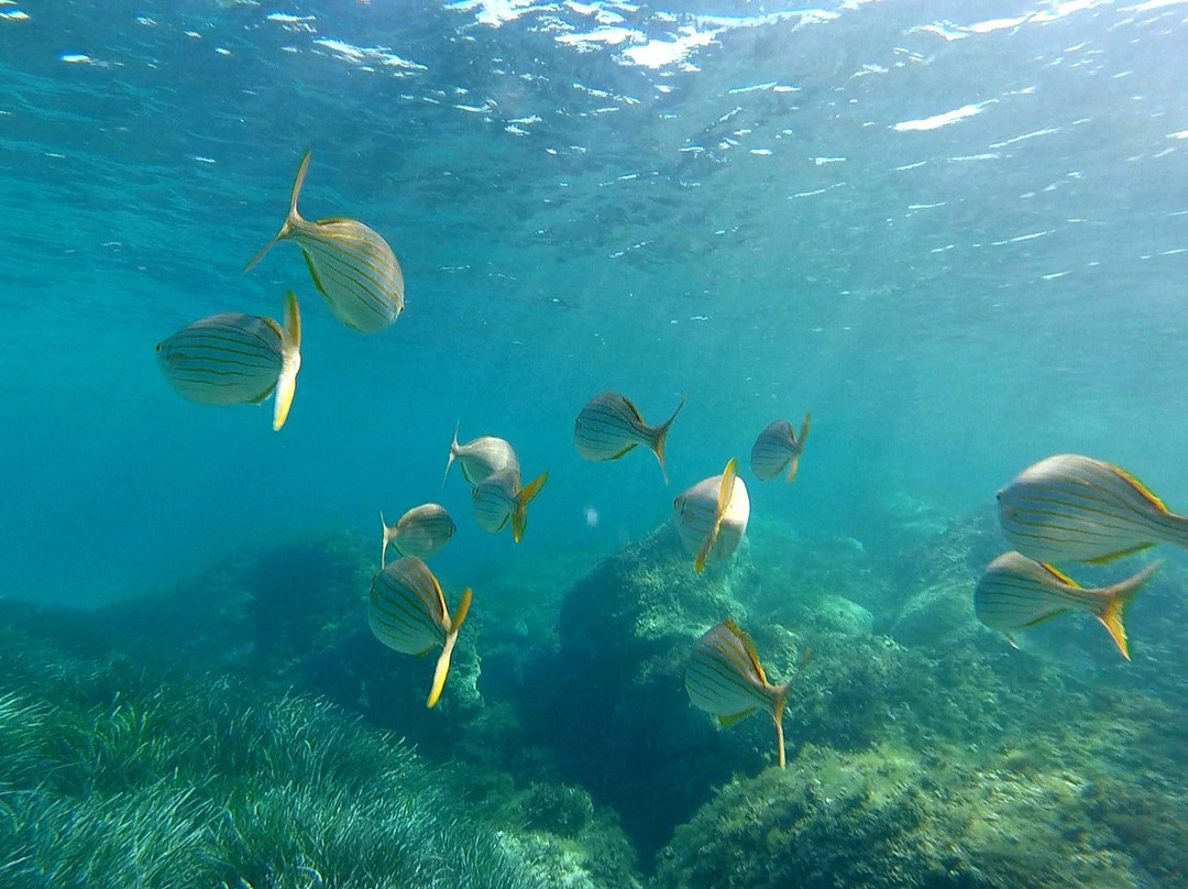 CROCIERE VELA FAVERO-卡利亚里省必去景点