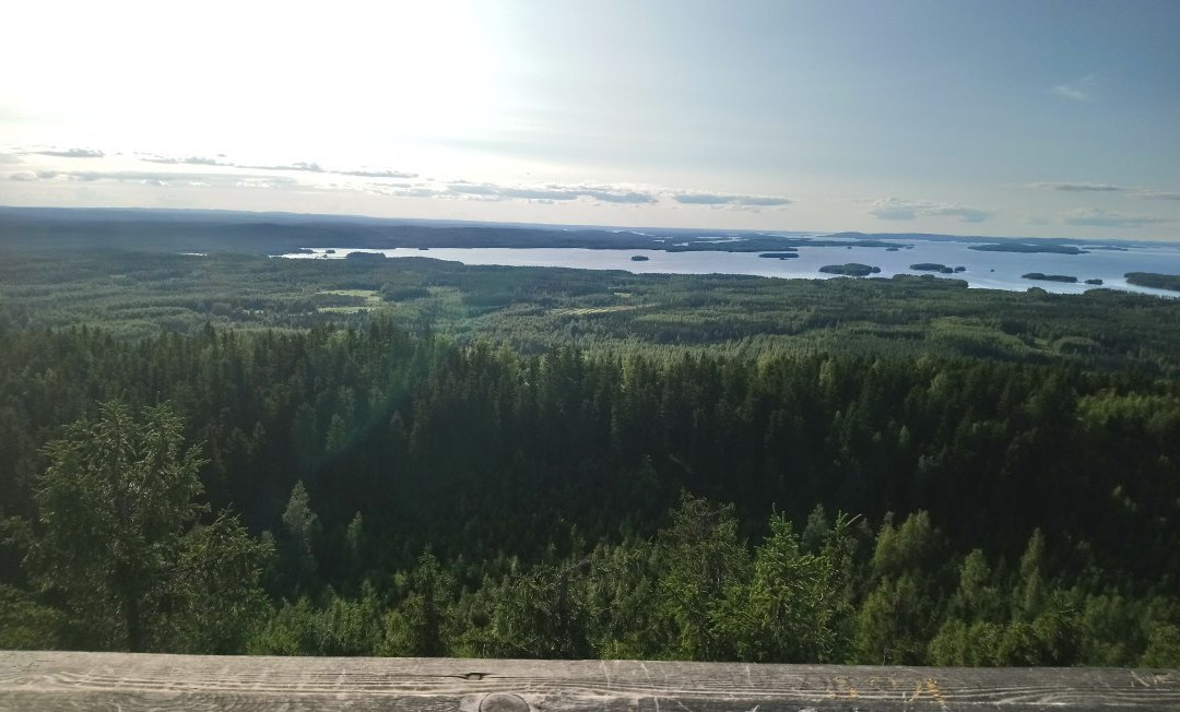 Räsävaara Observation tower-Koli National Park必去景点