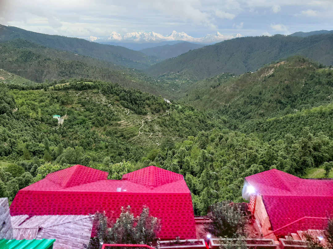 Treehouse Resort主图