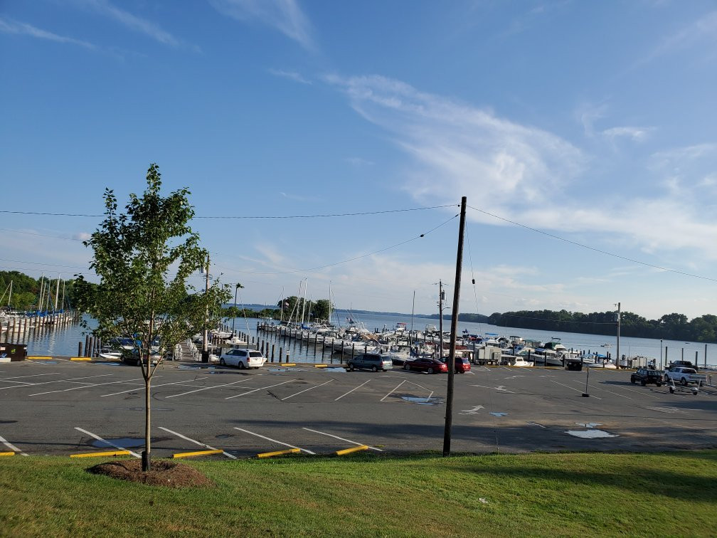 Millard Tydings Memorial Park景点图片