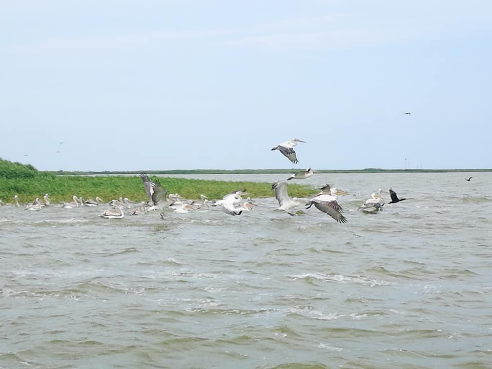 Day Trips Constanta-康斯坦萨必去景点