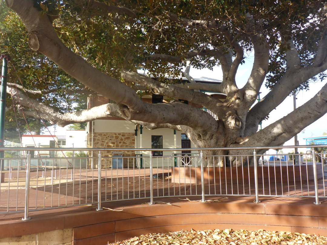 Geraldton Visitor Centre-杰拉尔顿必去景点