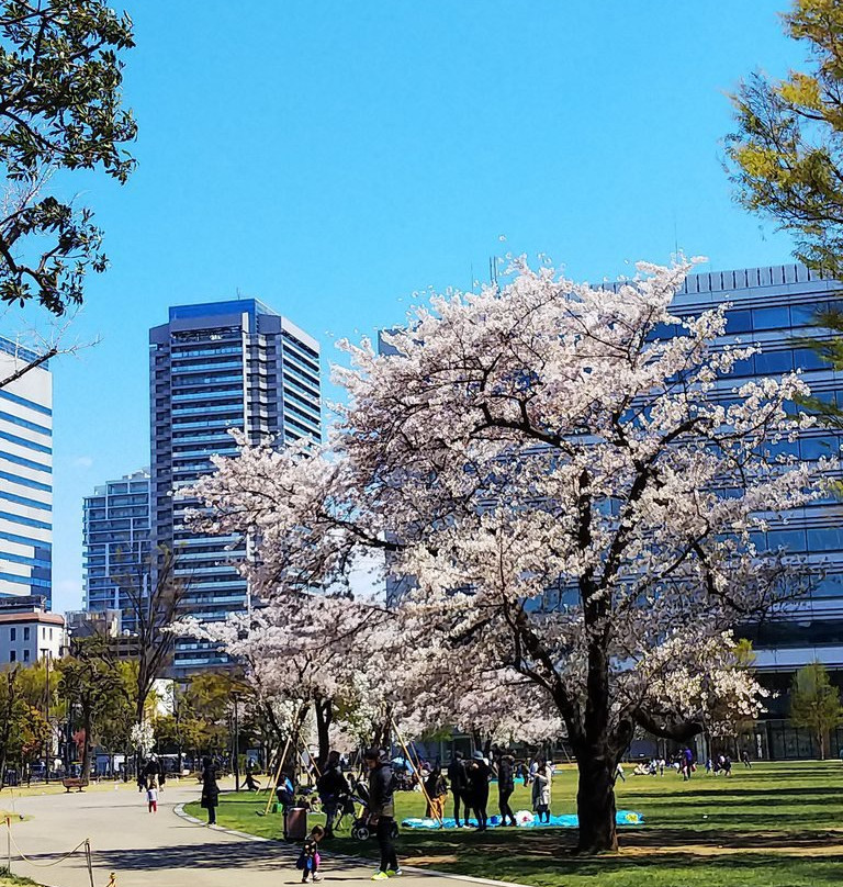 Nakano Shiki no Mori Park-中野区必去景点