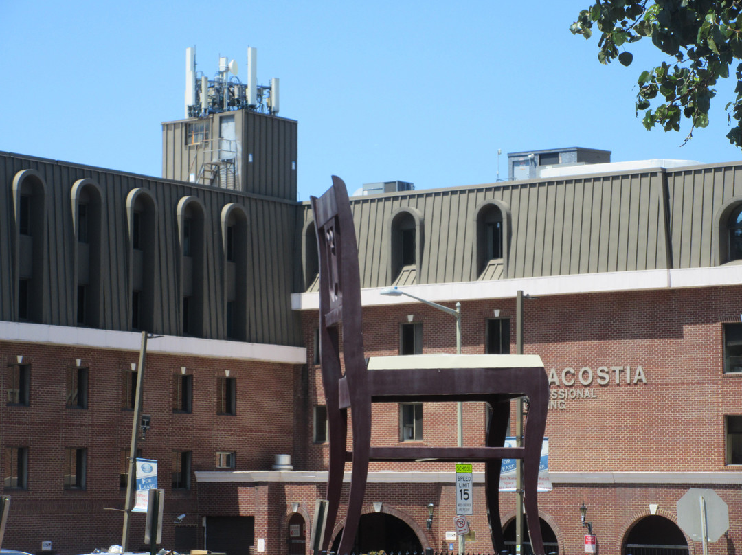 The Large Duncan Phyfe Chair-华盛顿特区必去景点